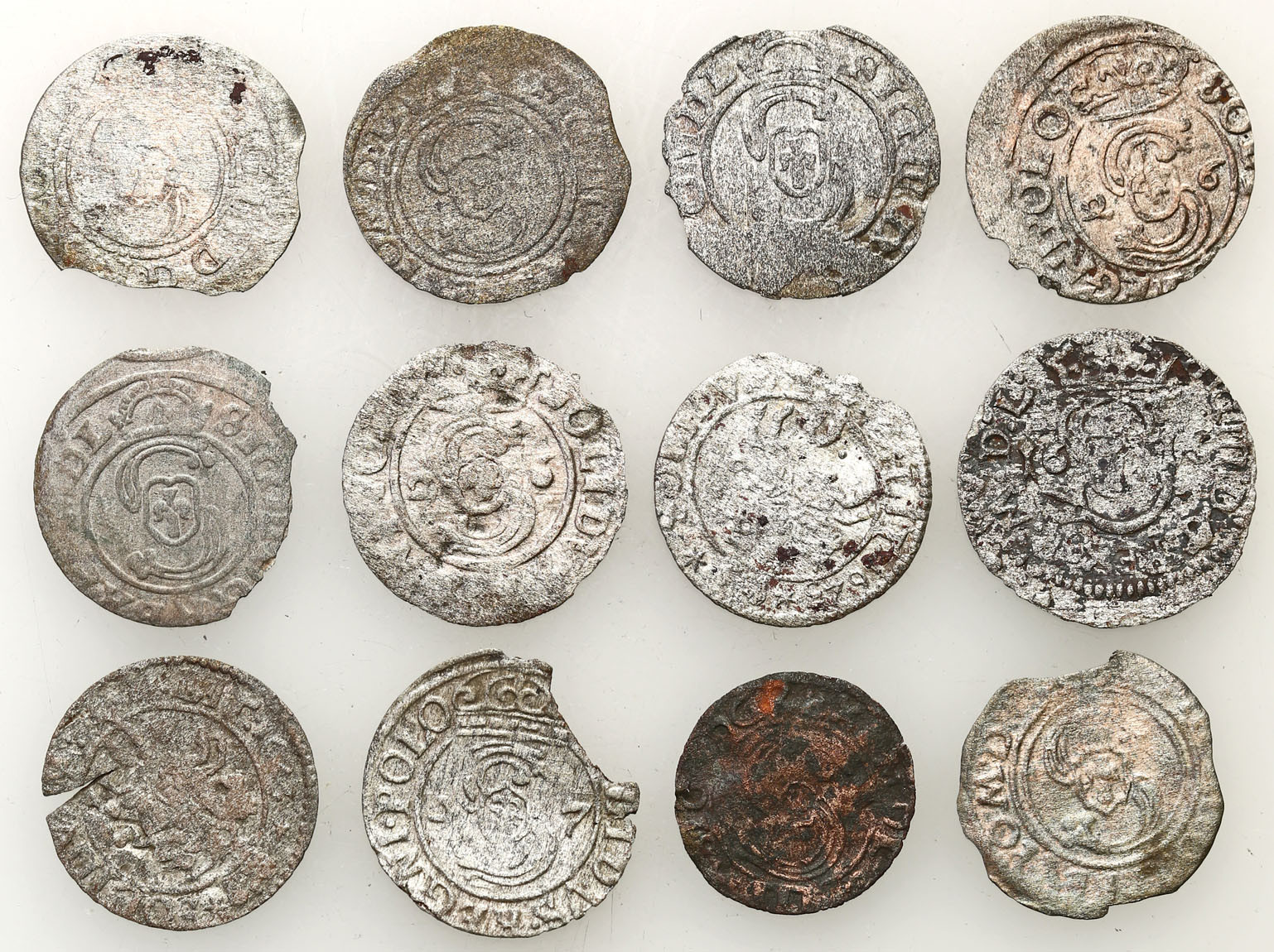 Zygmunt III Waza. Szeląg, Bydgoszcz, Wilno, zestaw 12 monet